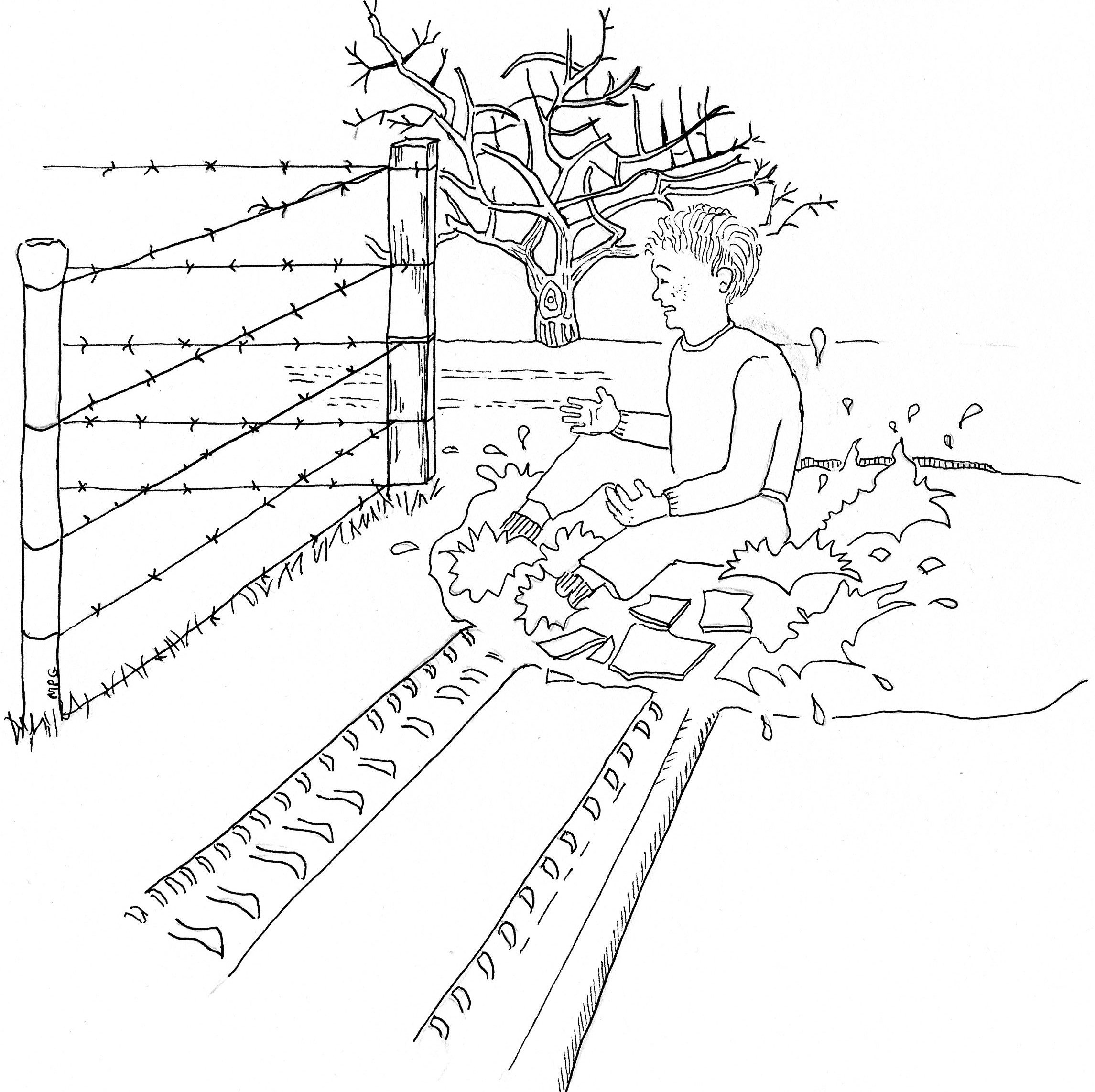 2291x2285 The Dirt Road