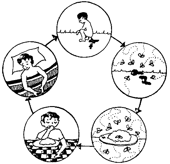 542x524 Tools Forteaching