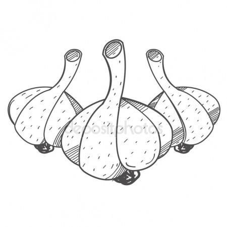 450x450 Condiments And Spices To Dishes Stock Vector Filkusto