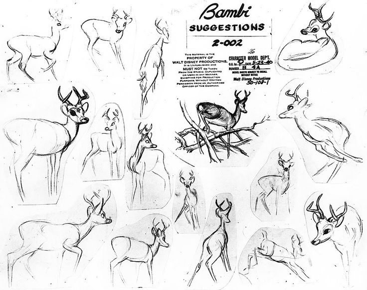 736x582 Drawn Bambi Concept Art