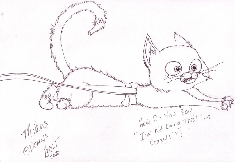 900x621 Disney's Mittens From Bolt By Mlizcook