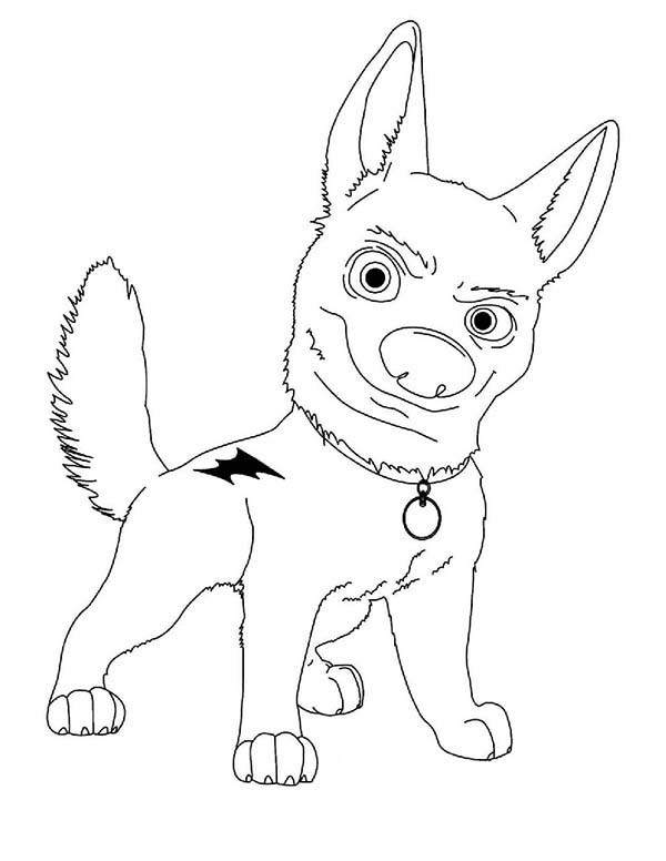 600x776 Walt Disney Bolt Coloring Pages Batch Coloring