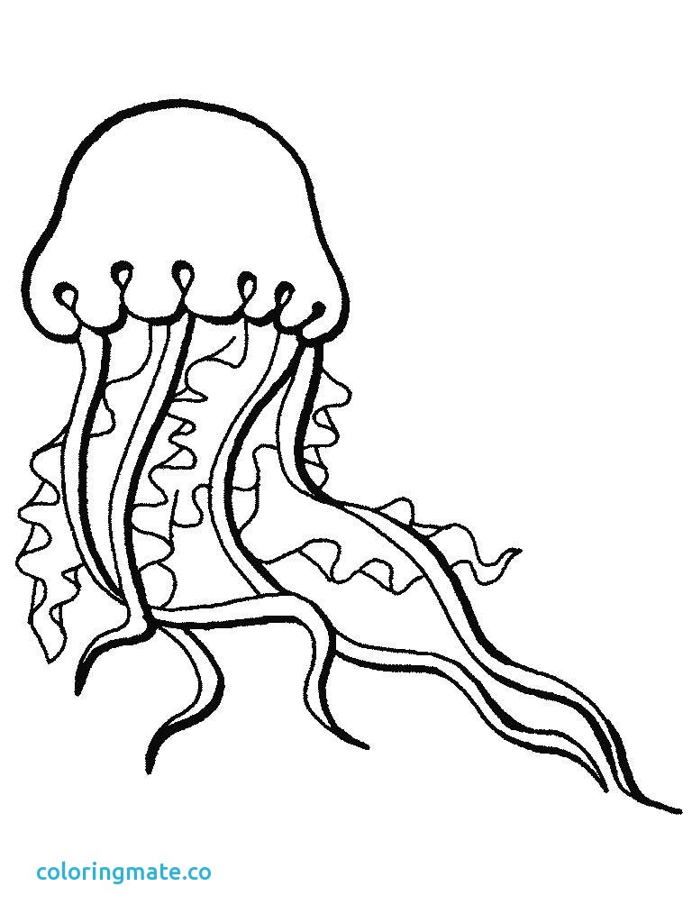 768x1024 Ocean Animal Coloring Pages Elegant Free Printable Ocean Coloring