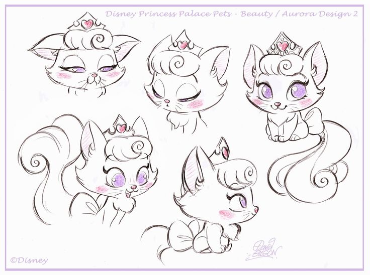 736x548 Drawn Palace Disney Princess