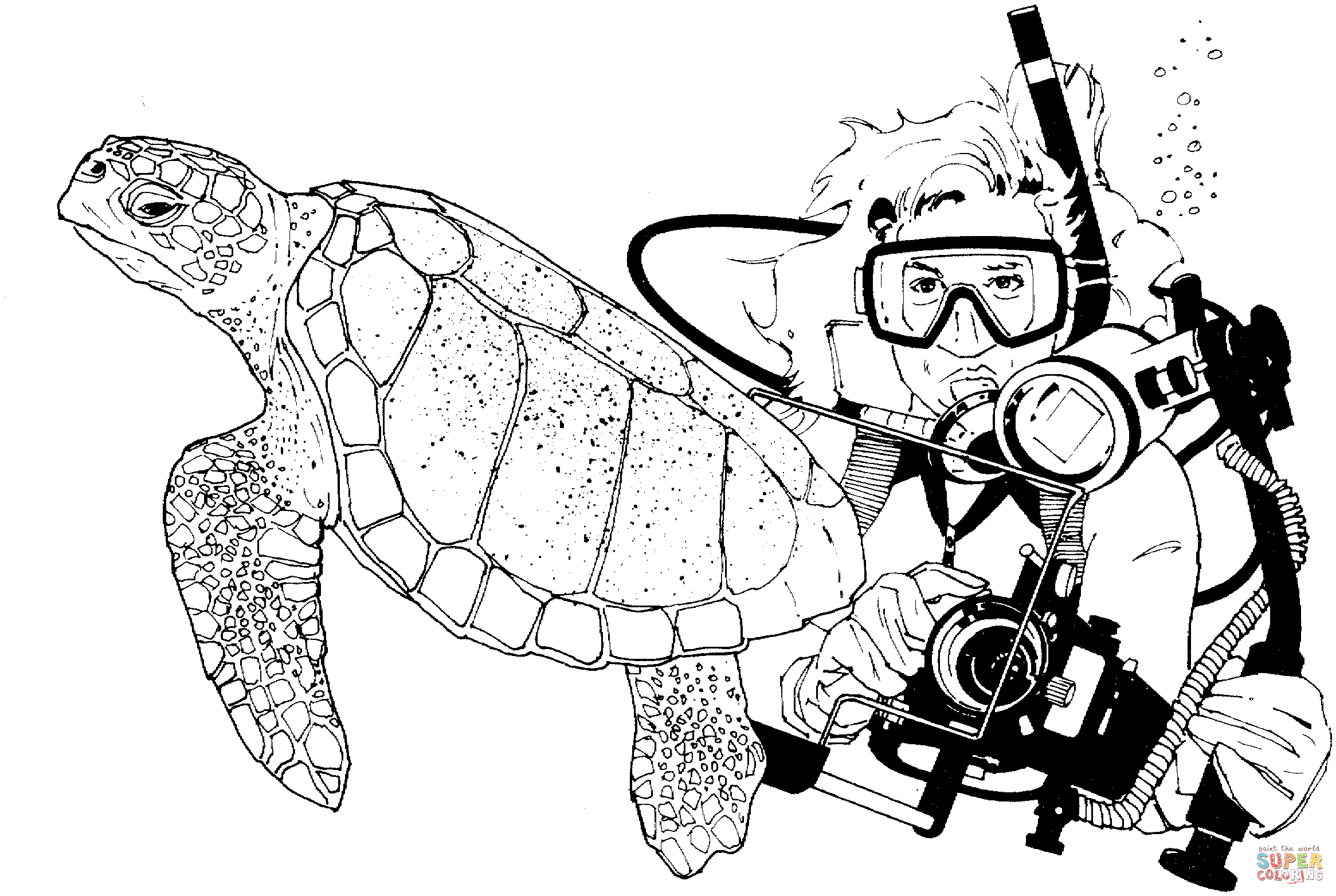 2331x1564 Green Sea Turtle And Scuba Diver Coloring Page Free Printable