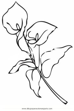 236x354 Pin By Doyle On Dividers, Screens, And Ideas