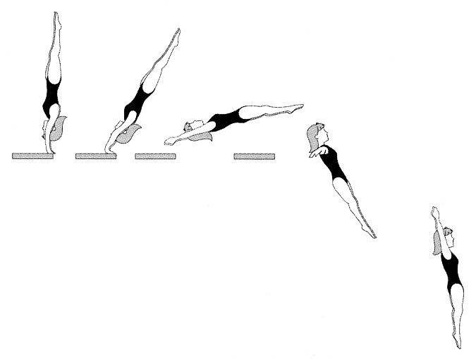 675x510 Middlesex County Amateur Swimming Association Diving