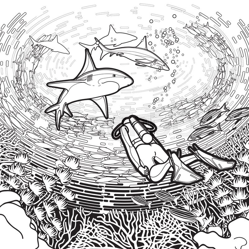 800x800 Graphic Coral Reaf, Scuba Divers And Sharks Under The Ocean Water