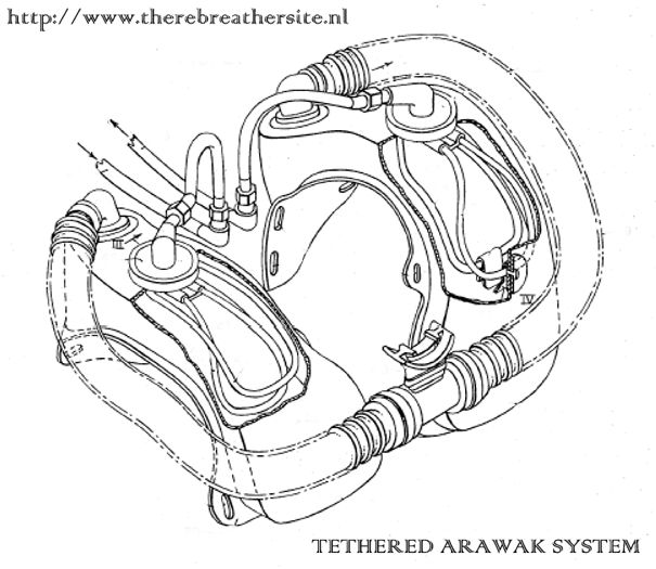 605x525 Arawak System