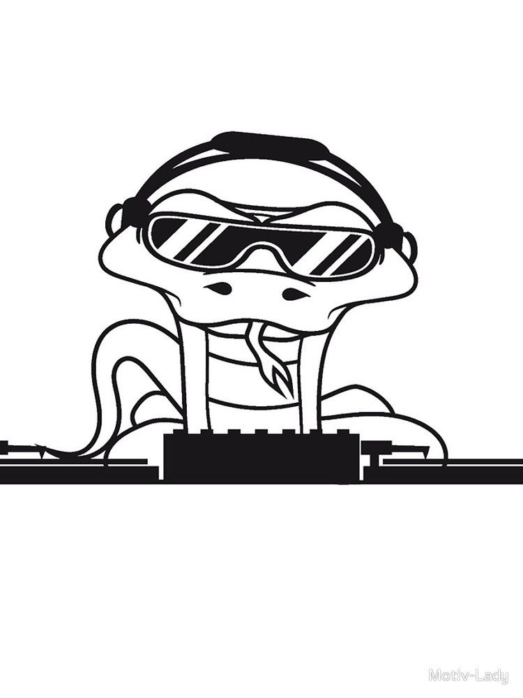 750x1000 Dj Club Party Music Cool Mixer Hang Celebrate Disco Sunglasses