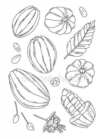 337x450 Dna Double Helix Sketch Stock Vector Lhfgraphics