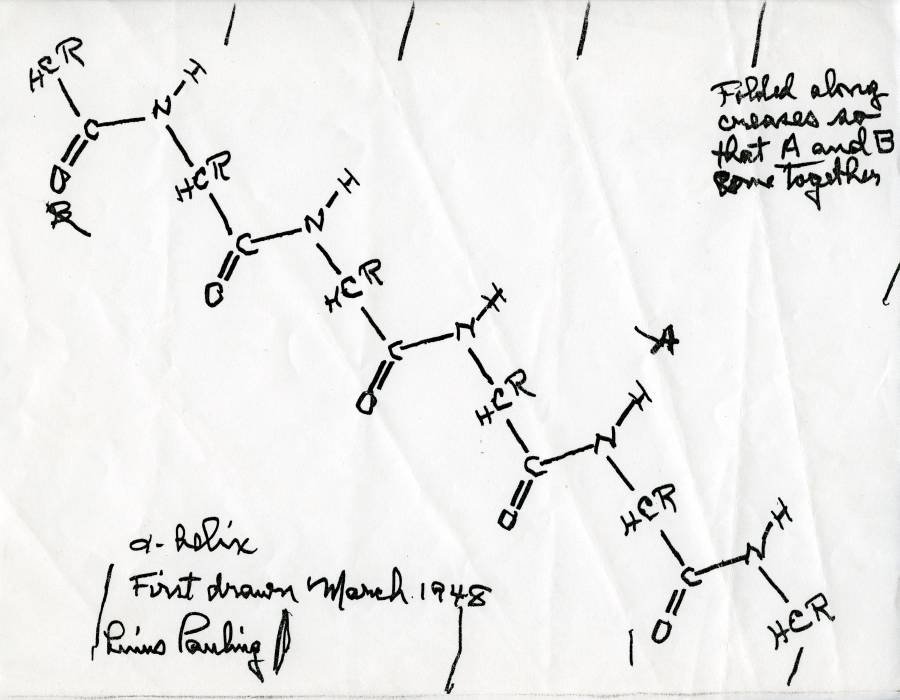 900x700 The Alpha Helix Paulingblog