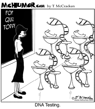 319x364 Dna Structure