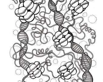 340x270 Dna Etsy