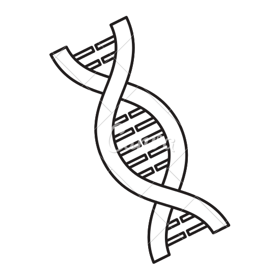 550x550 Dna Chain Vector Icon