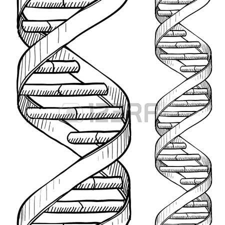 450x450 Doodle Style Dna Double Helix Seamless Vector Background Or Border