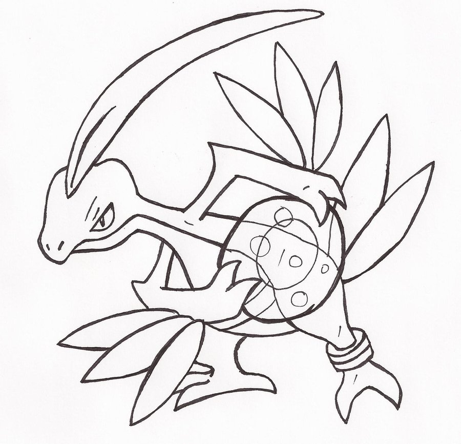 900x866 Grovyle Used Focus Blast By Daniel Dna