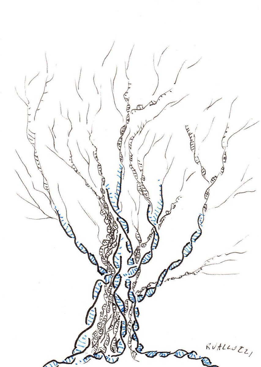 853x1200 Regina Valluzzi On Twitter