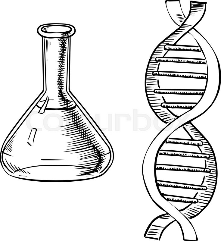 734x800 Laboratory Flask And Model Of Dna Helix Isolated On White
