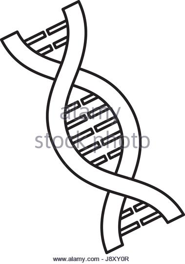 379x540 Dna Model Black And White Stock Photos Amp Images