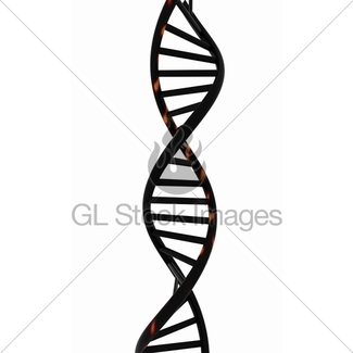 325x325 Dna Structure Model On White Gl Stock Images