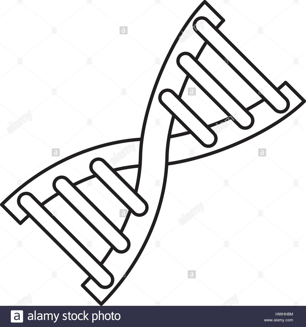1300x1390 Human Dna Symbol Stock Vector Art Amp Illustration, Vector Image
