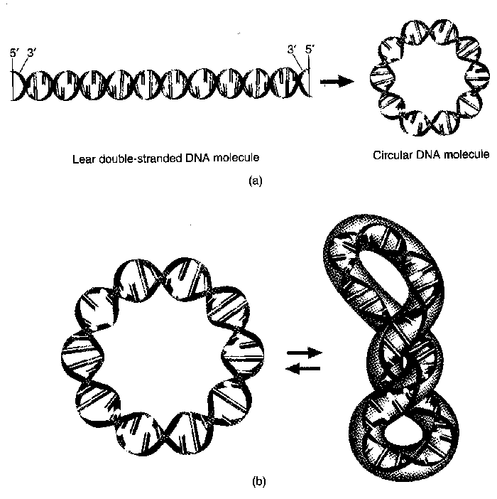 700x702 Lecture Notes, Etc.