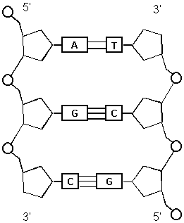 261x317 Organic Chemistry And Biochemistry