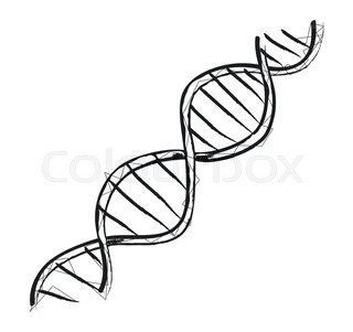 320x301 Science Dna Code Structure With Chromosomes Radiate Light Line