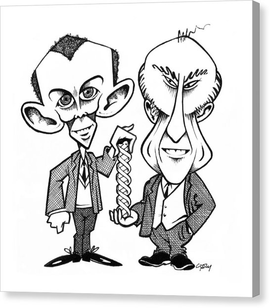 546x622 Watson And Crick, Dna Discovers Photograph By Gary Brown