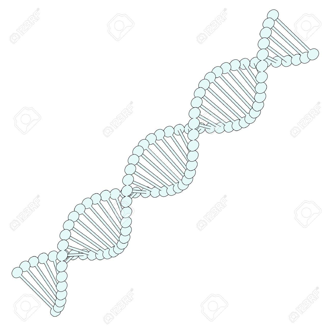 1300x1300 Cartoon Image Of Dna Model Stock Photo, Picture And Royalty Free