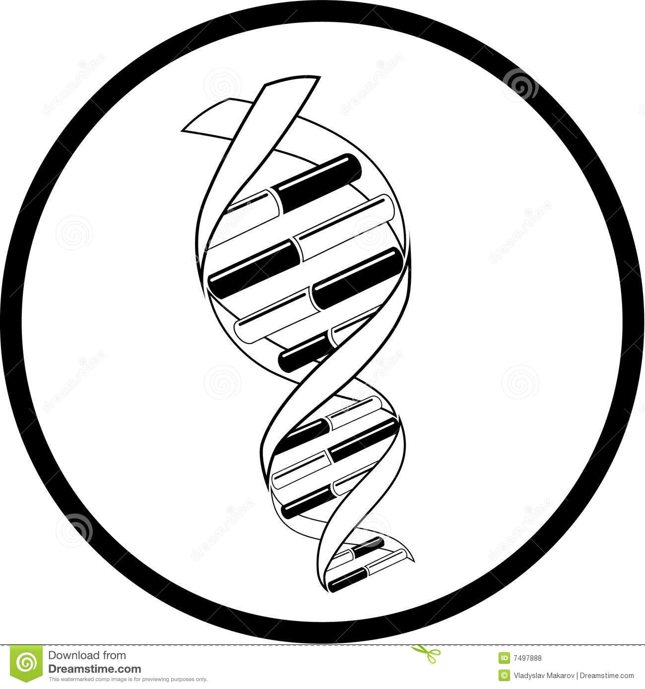 1300x1390 Dna Strand Black And White Clipart