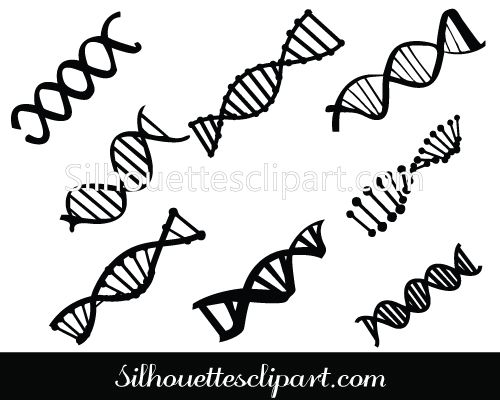 500x400 Dna Clipart Black And White Collection