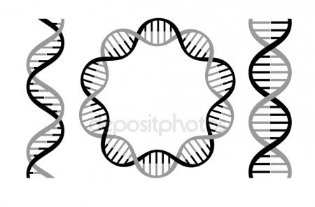 450x296 Dna Strands Stock Vectors, Royalty Free Dna Strands Illustrations