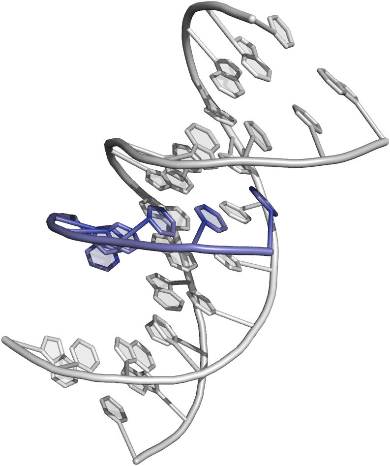 793x947 Oligonucleotides As Drugs