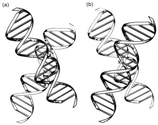 Dna Strand Drawing at GetDrawings | Free download