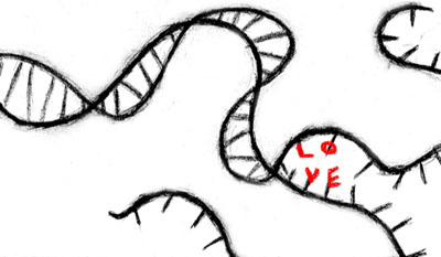 400x233 Dna Love By Jbaby89