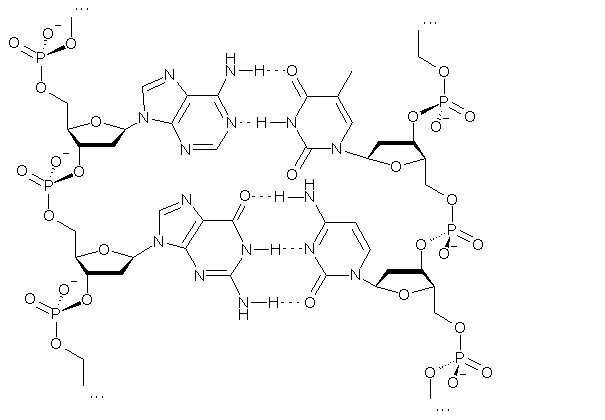 605x420 Filedna As Structure Formula (Dumb Version).png