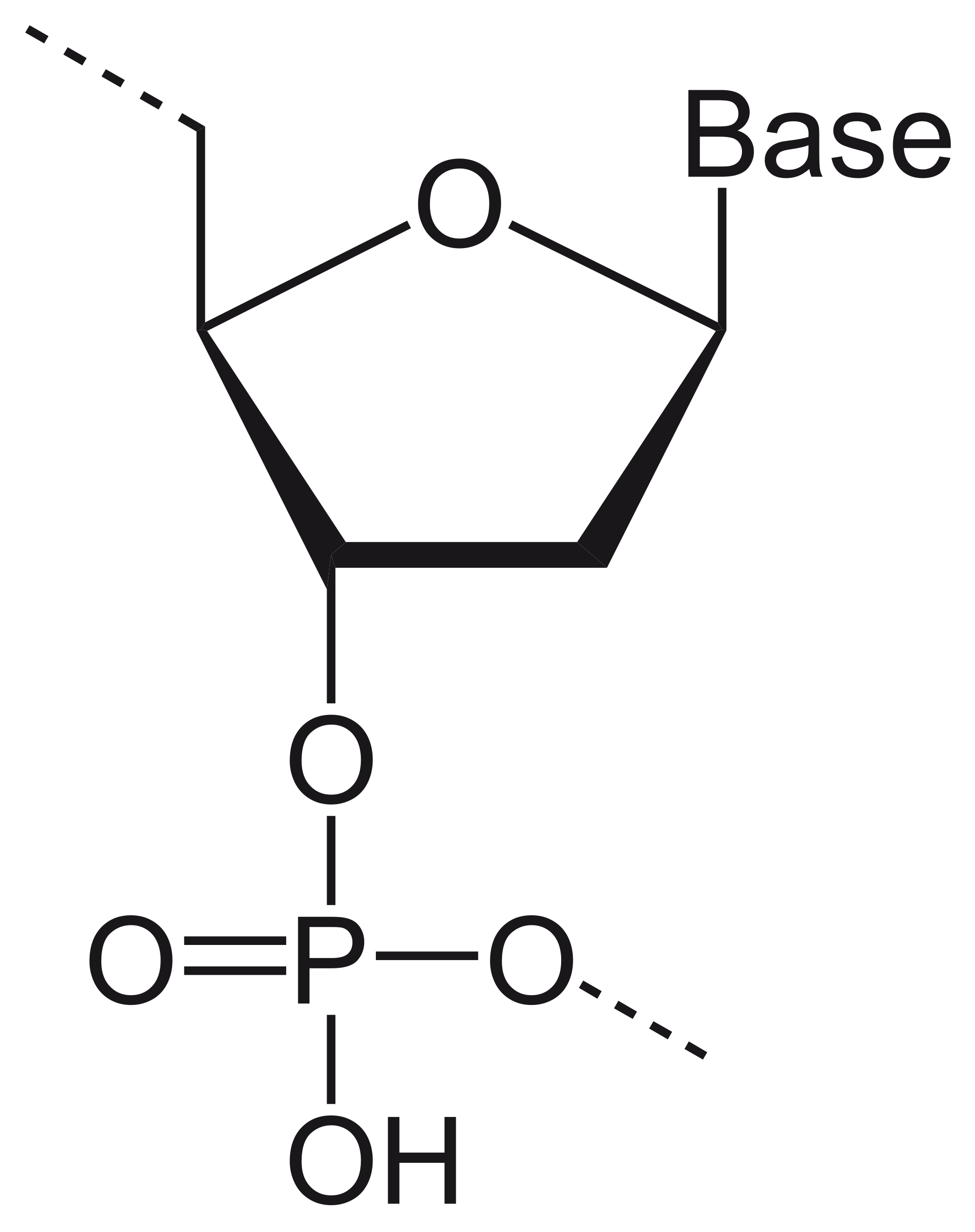 2000x2528 Filedna Monomer.svg