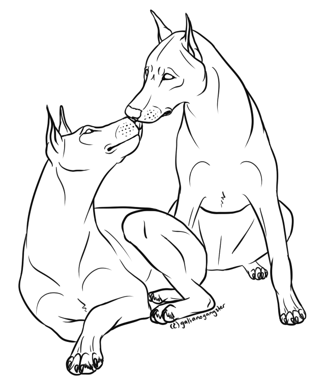 639x749 Kissing Doberman Lineart Trade By Galianogangster