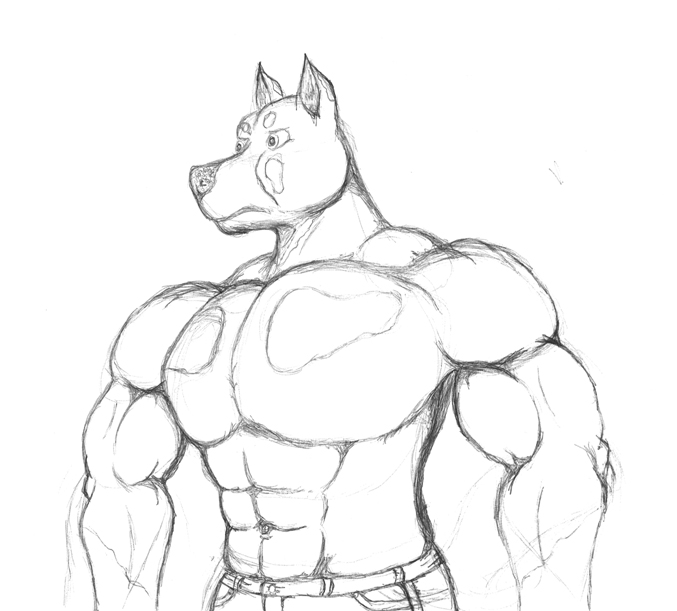 677x611 Muscle Doberman Pen Sketch By Animagusurreal