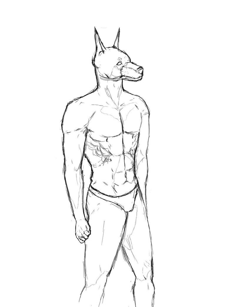 768x1041 Anthro Doberman Sketch By Teddylama