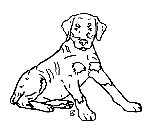 600x521 Doberman Pinscher Memorial