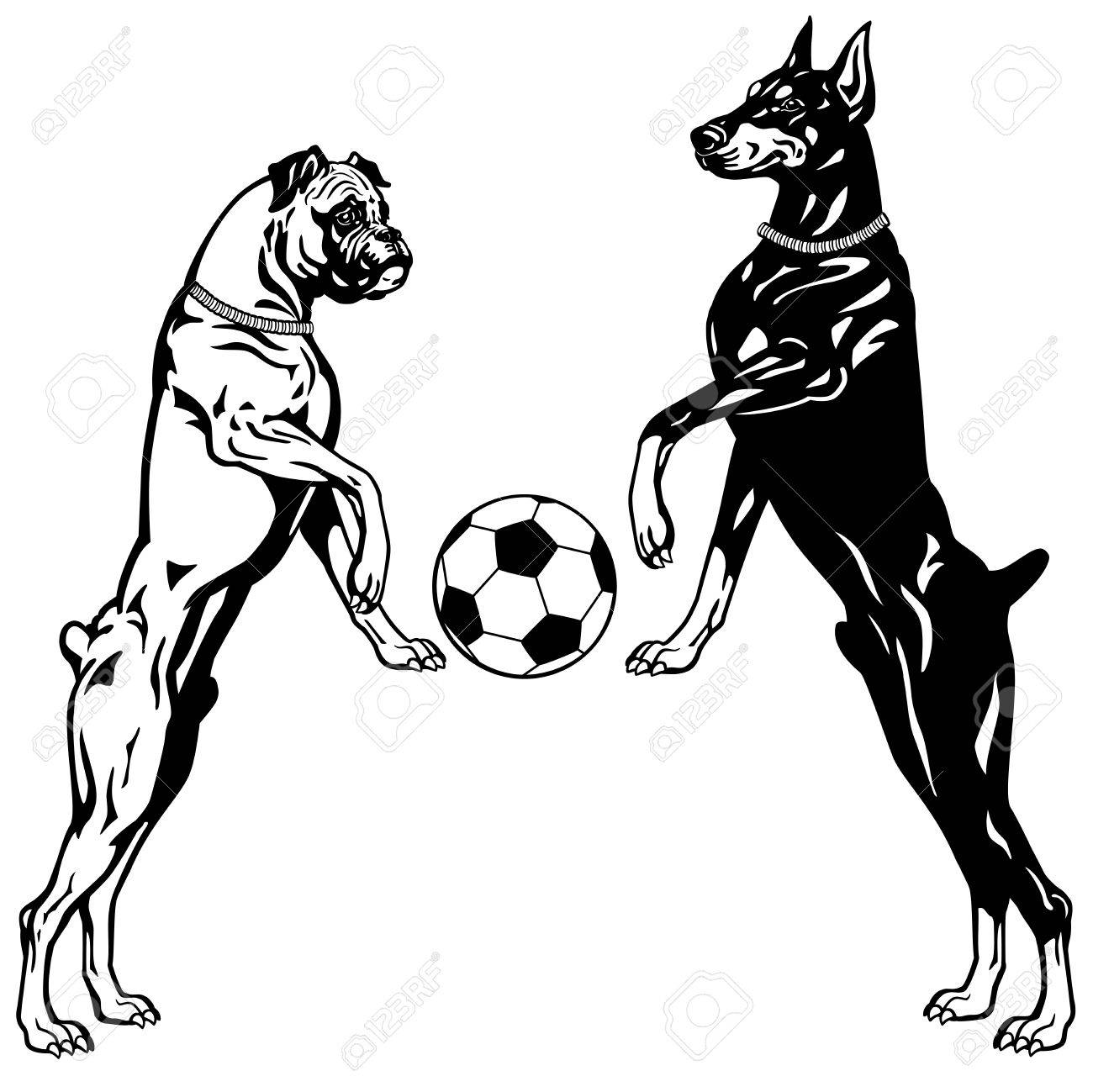 1300x1299 Dogs Doberman And Boxer Breeds, Black And White Illustration