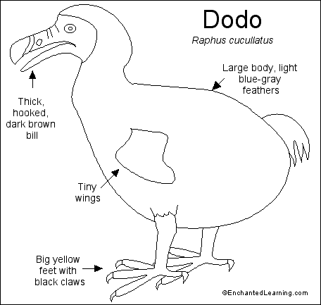 456x433 Dodo Printout