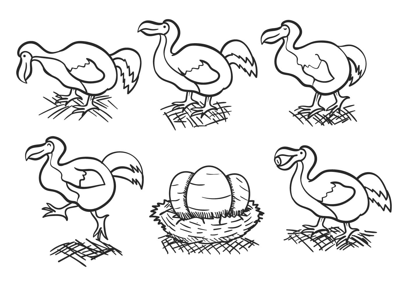 1400x980 Dodo Outline Hand Drawn Vector Set