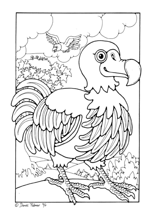 531x750 Coloring Page Dodo