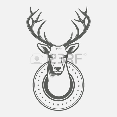 Doe Head Drawing