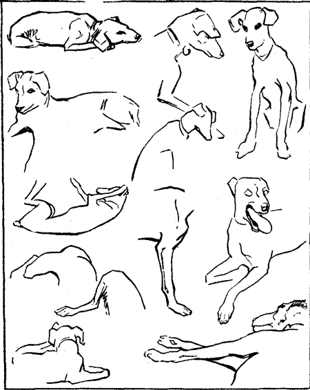 450x567 Untitled Document