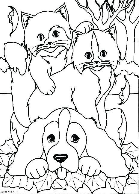 464x648 Cat And Dog Coloring Pages Dogs Coloring Page Make A Photo Gallery